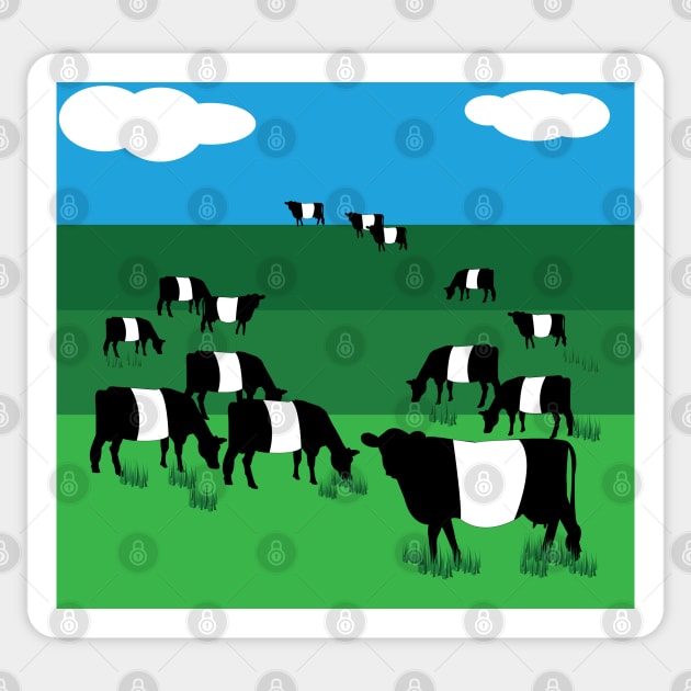 Belted Galloway Cattle Sticker by DickinsonDesign